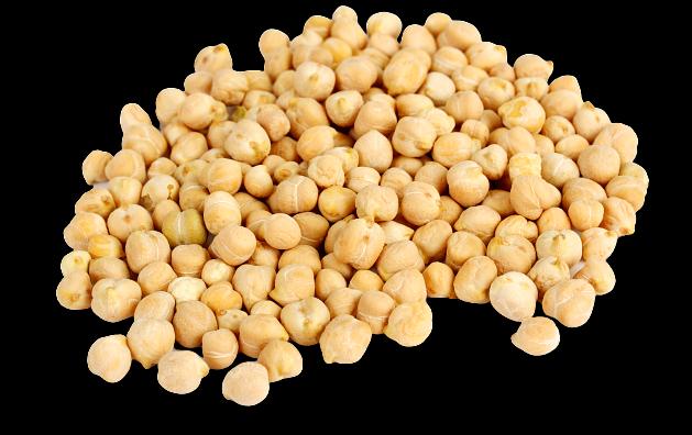 Зерновая культура Нут фото 1