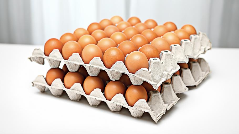 Яйцо куриное 1 сорт, 360 шт в коробке фото 1