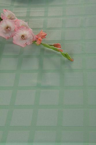 Скатерть 145*200 см. салатовая клетка /3/ фото 1