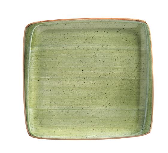 Тарелка прямоуг. 270*250 мм. без полей Терапи, форма Мув /1/6/ фото 1