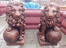 Лев большой фото 1