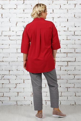 Блуза Р-213-2 фото 3