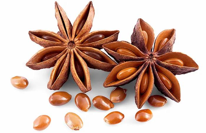 Бадьян (анис звездчатый) фото 1