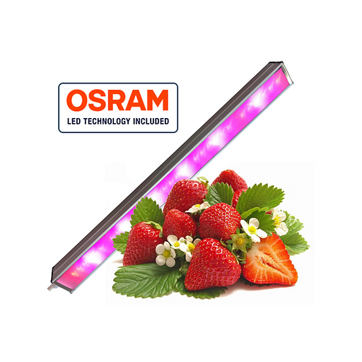 Фитосветильник «ФИТО-Оптима» общего назначения опт фото 1