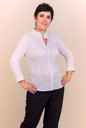 Блуза Р-41 фото 1