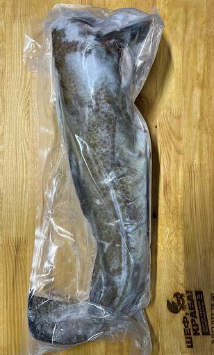 Треска атлантическая свежемороженая фото 1