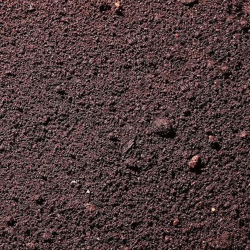 Грунт (чернозёмный) фото 1