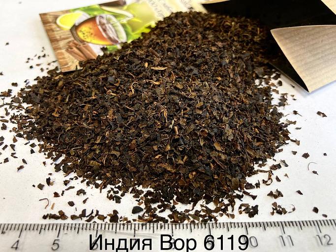 Индийский чай среднелистовой фото 1