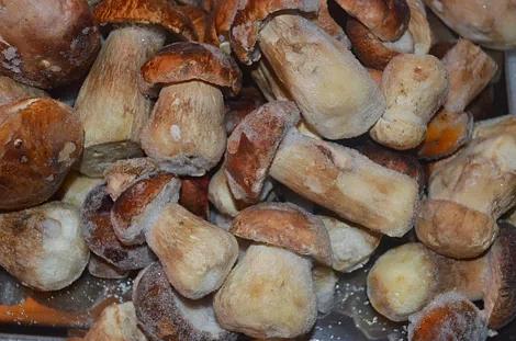 Замороженные подосиновики, целые «И зимой, и летом» для фасовки ОПТ фото 1