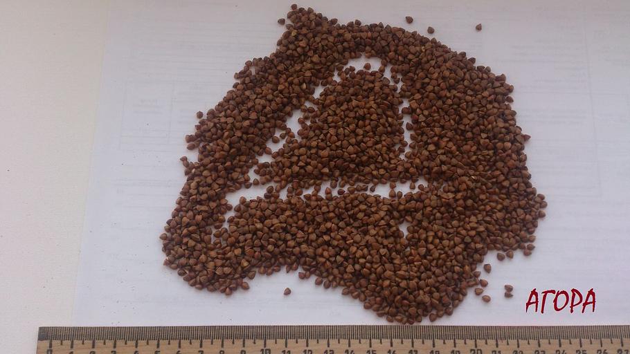 Крупа гречневая ядрица в/с по ГОСТ 5550-2021 фото 2