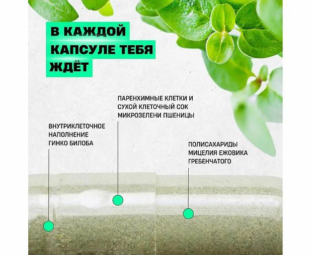 Комплексная добавка «Svitolife Efficiency» 90 капс фото 5