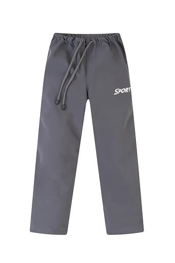 Брюки спортивные демисезонные, серый, опт фото 1