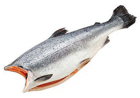 Рыба свежемороженная Форель радужная морская 1,8-2,7 без головы, опт фото 1