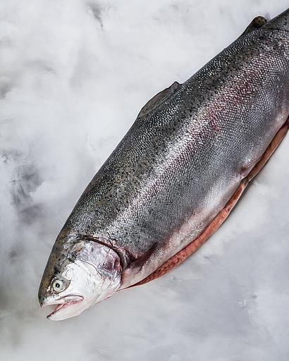 Рыба свежемороженная Форель радужная НР 300/500, опт фото 1