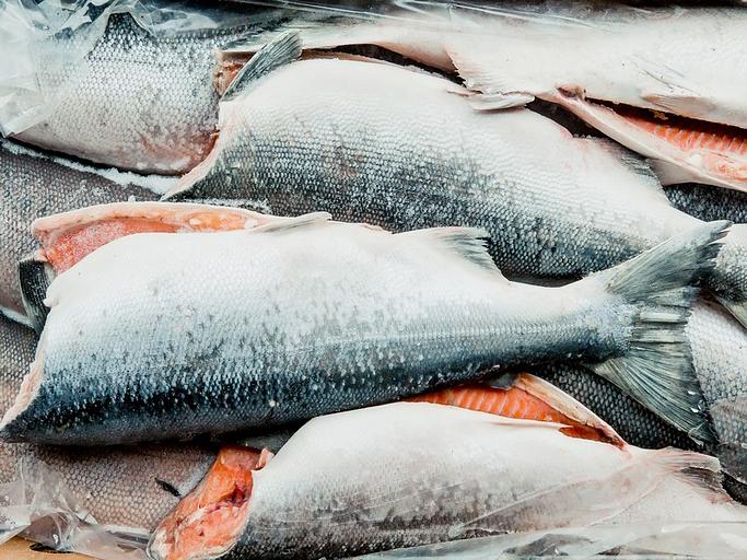 Рыба свежемороженная Нерка ПБГ штучной заморозки М, опт фото 1