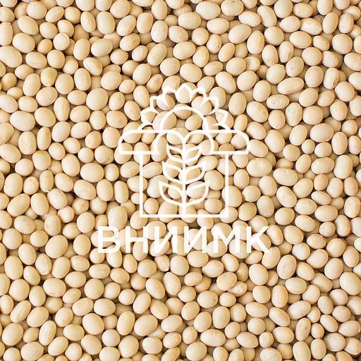 Семена сои ВНИИМК сорт Баргузин фото 1