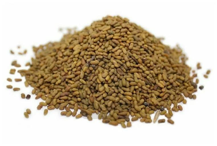 Посевные семена козлятника Гале, ГОСТ, РСт, протокол фото 1