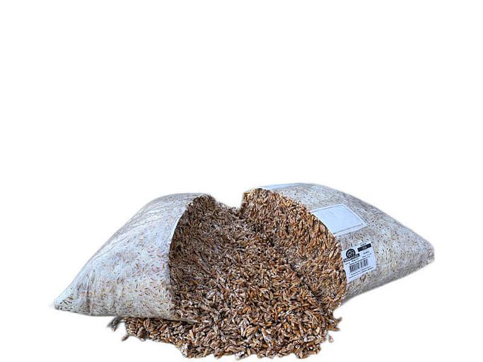 Мицелий гриба вешенка ОПТ фото 1