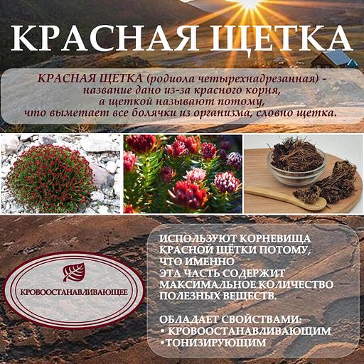 Алтайский бальзам с боровой маткой и красной щеткой 250 мл, опт фото 7