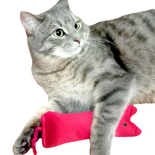 Котик (набор 5шт) ОПТ фото 2