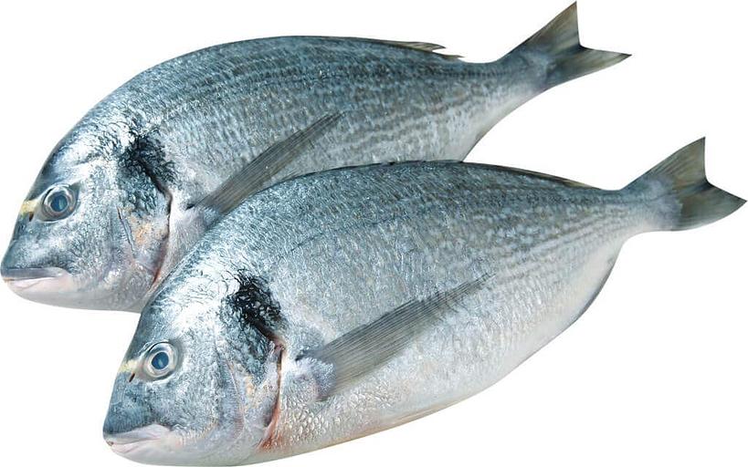 Дорадо 200-300 н/р 1/6 Северная Компания ОПТ фото 1