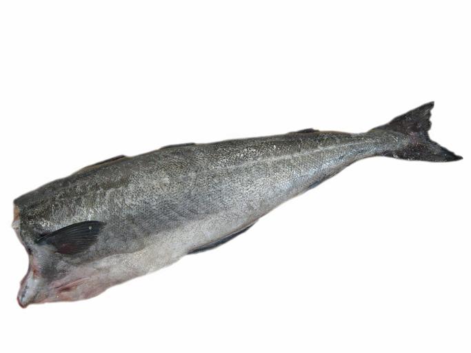 Сайда б/г 1+ Саами ОПТ фото 1