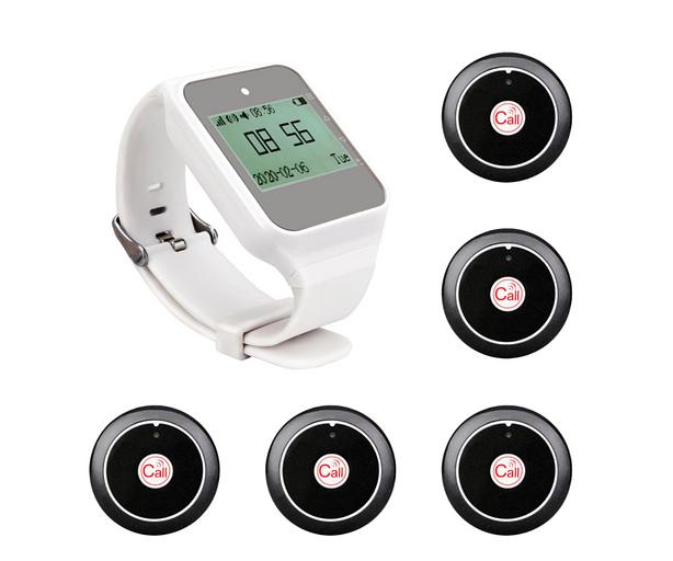 Система вызова из часов и 5-ти кнопок SWB21-2 ОПТ фото 1