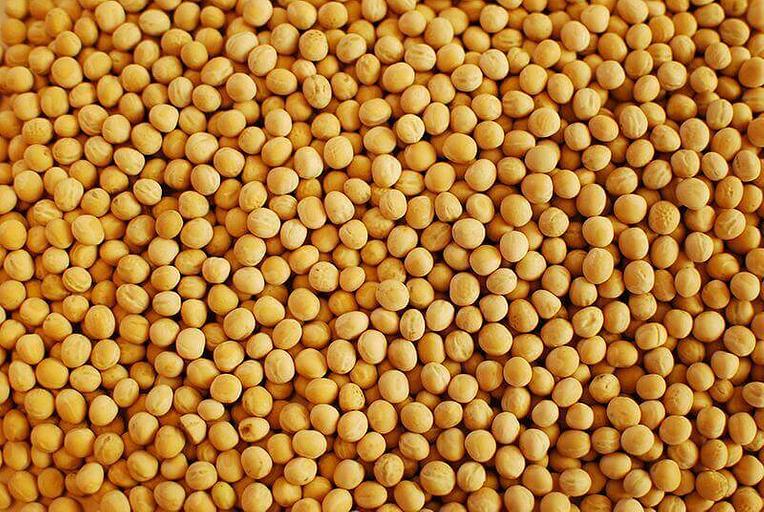 Горох ГОСТ фото 1