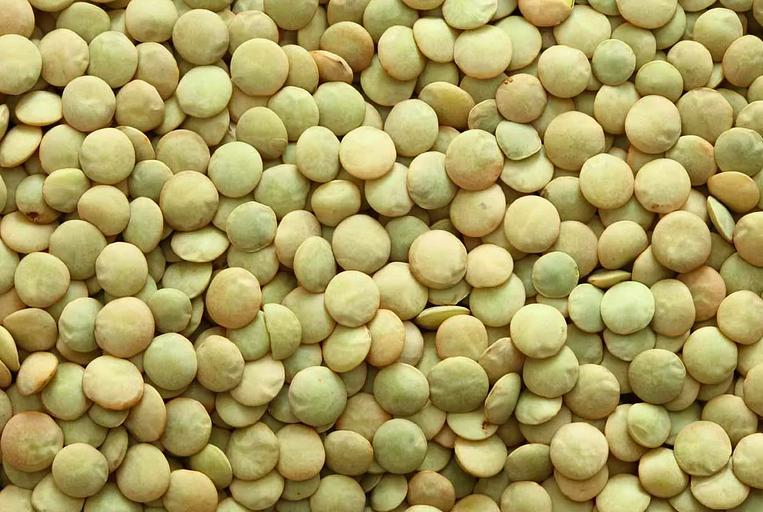 Чечевица зелена ГОСТ фото 1