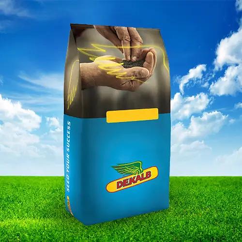 Гибриды семена подсолнечника Bayer «ЕС Артик» ОПТ фото 1