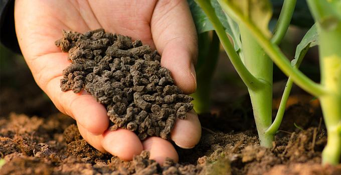 Органическое удобрение в гранулах «Биогран 5-4-4», 4 мм, в Биг-бэге 95х95х160 мм фото 2