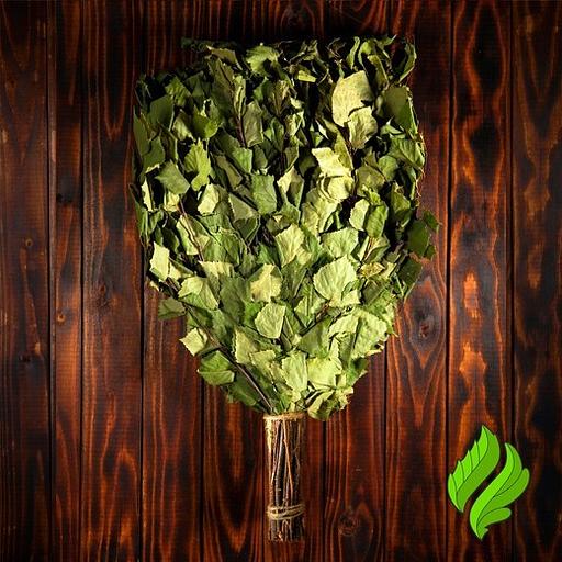 Березовый веник для бани фото 1