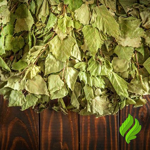 Березовый веник для бани фото 2