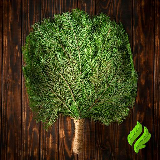 Пихтовый веник «Премиум» для бани фото 1