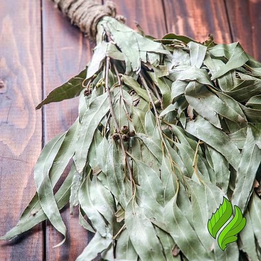 Эвкалиптовый веник «Премиум» для бани фото 2