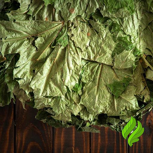 Кленовый веник «Премиум» для бани фото 2