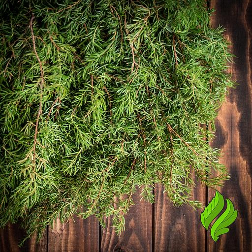 Можжевеловый веник для бани фото 2