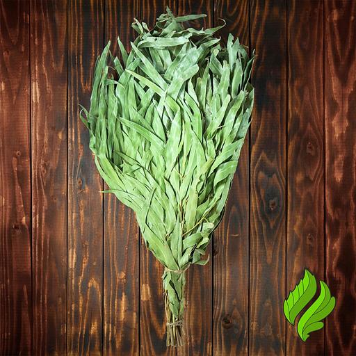 Эвкалиптовый веник для бани фото 1