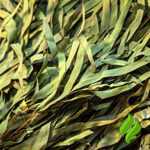 Эвкалиптовый веник для бани фото 3