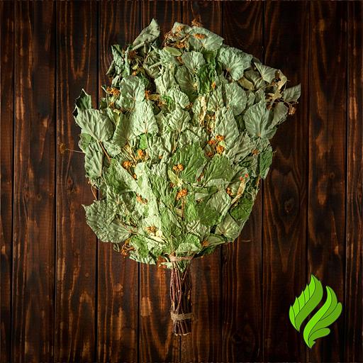 Липовый веник для бани фото 1