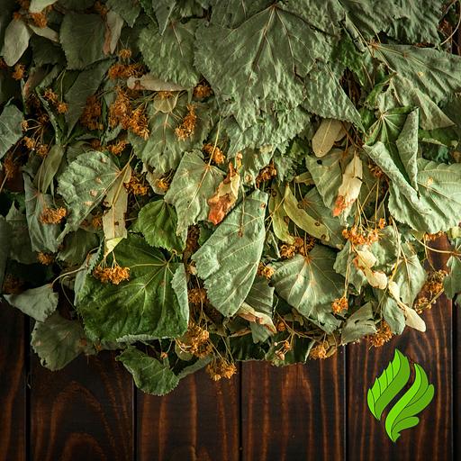 Липовый веник для бани фото 2