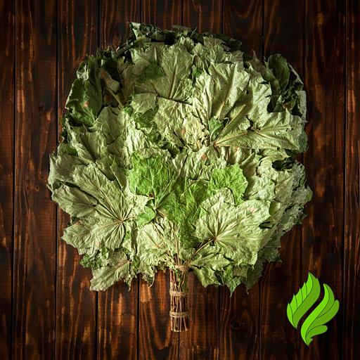 Кленовый веник для бани фото 1