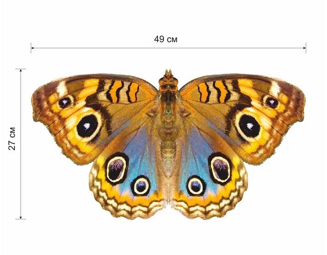 Деревянные пазлы «Юнония» L 49×27 см 274 детали фото 7