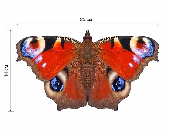 Деревянные пазлы «Павлиний глаз» S 25×14 см 153 деталей фото 7