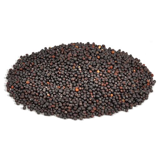 Посевные семена озимой суперицы сорта Гордея фото 1