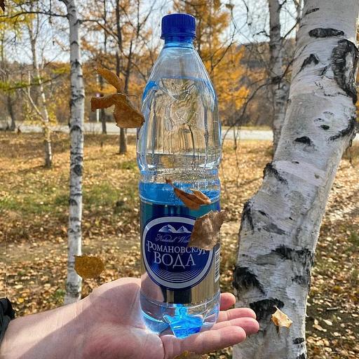 Вода питьевая «Романовская вода» 0,5 литров ОПТ фото 1