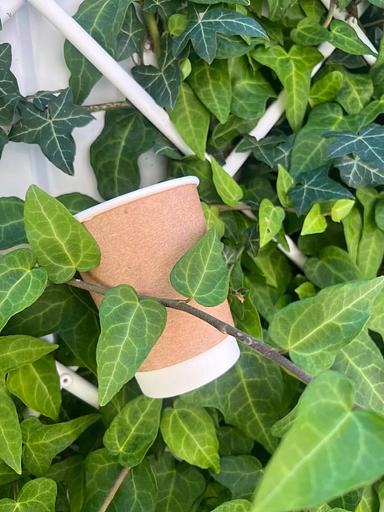 Стаканчики бумажные 250 мл фото 7