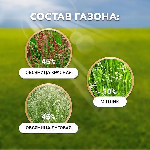Семена газонной травы «Мини топ» 800 грамм ОПТ фото 2