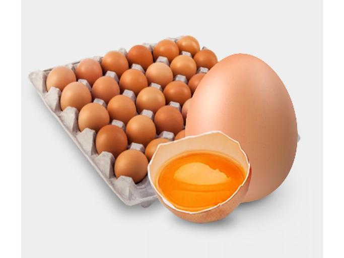 Яйцо нефасованное «Якоко» коричневое С1 ОПТ фото 1