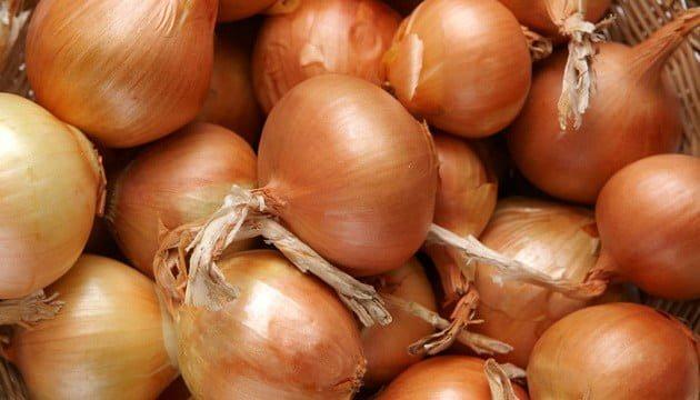 Лук репчатый сетевой фото 1